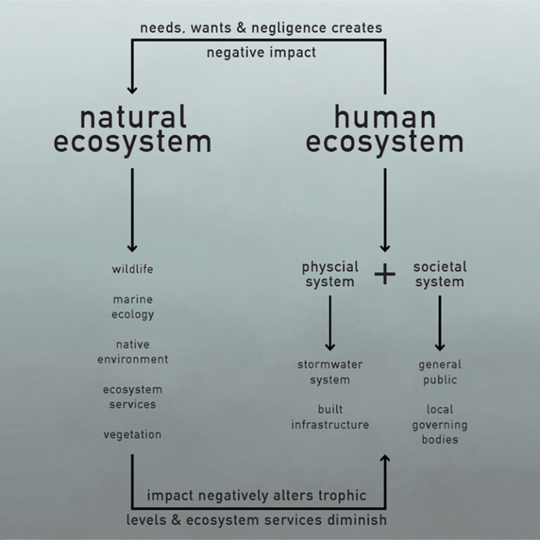 Relationship between the natural & human ecosystems in relation to
anthropogenic plastic pollution.